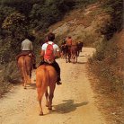 promenades à cheval